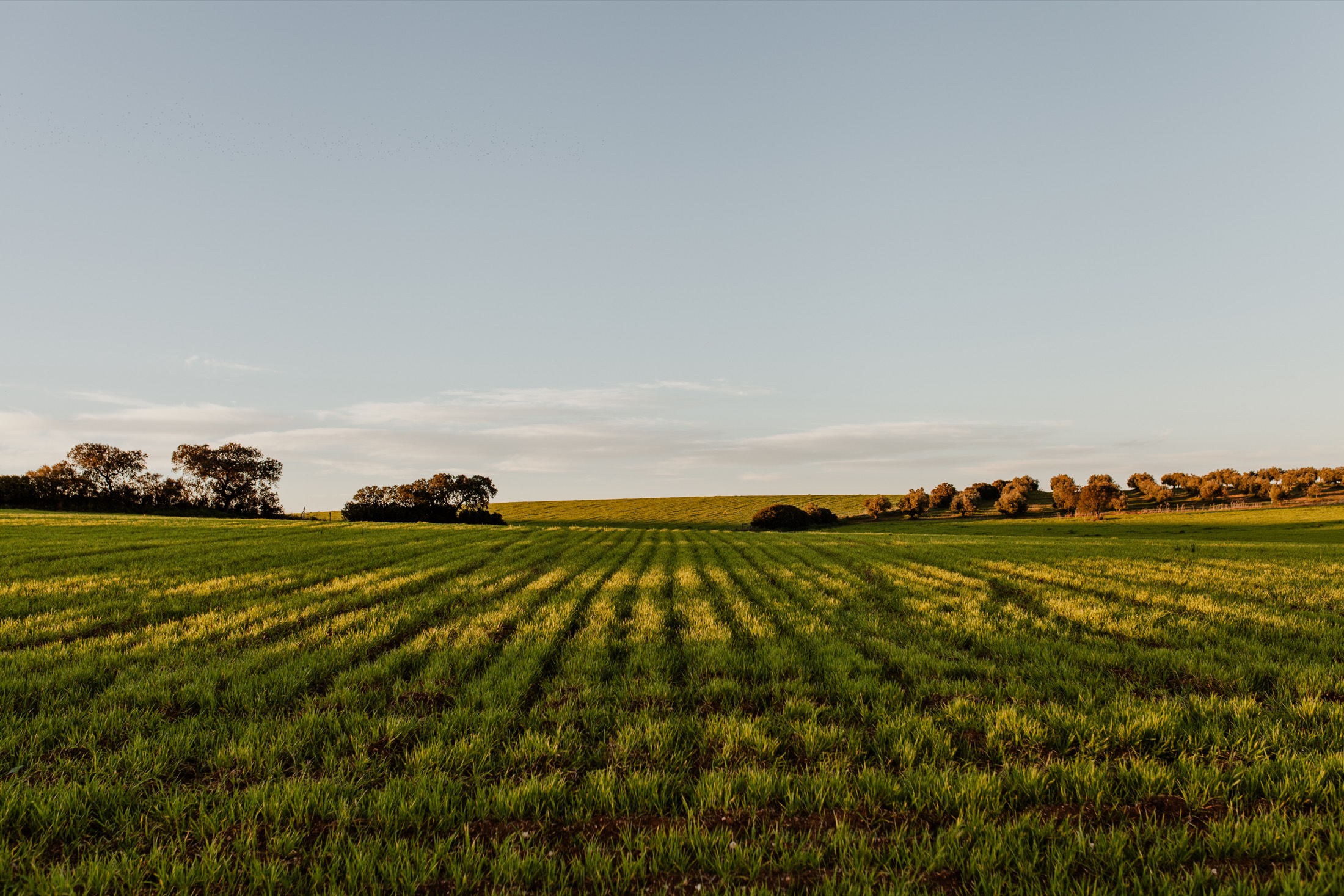 Living Lab field demonstration